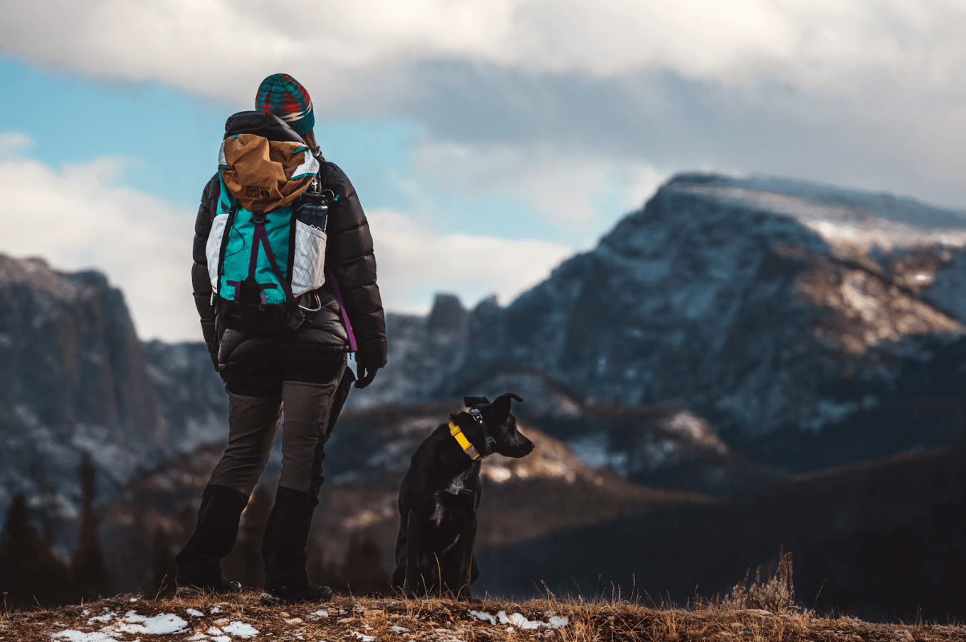 5 Effective Tips To Safely Hike With Your Dog